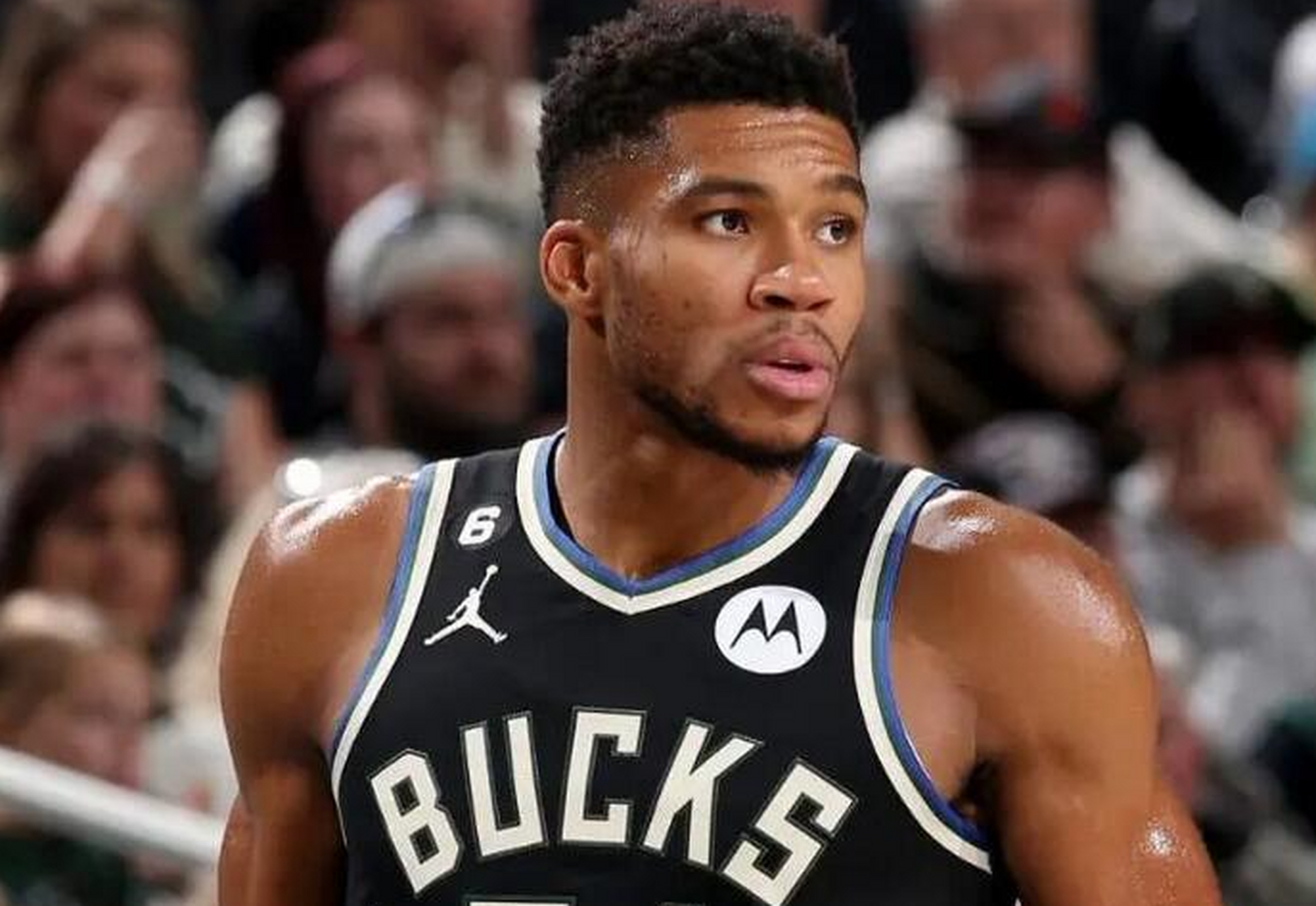 关于雄鹿主教练布登霍尔泽训练强度加大的信息 关于雄鹿主教练布登霍尔泽训练强度加大的信息