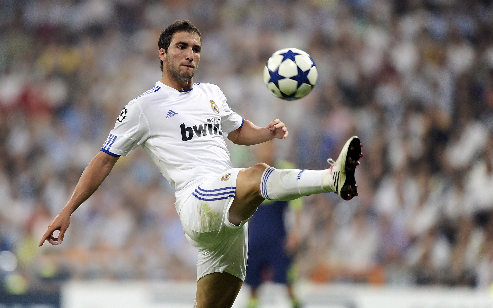 当绿茵场遇见赛道,威尔士碾压阿尔及利亚,李刚仁在F1街道赛接管比赛